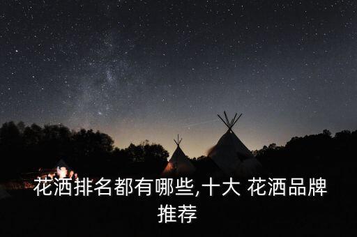  花灑排名都有哪些,十大 花灑品牌推薦