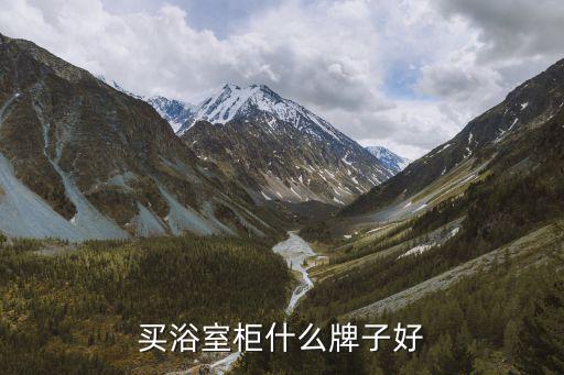 買浴室柜什么牌子好