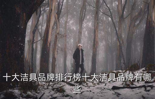 三明衛(wèi)浴品牌代理,代理一個(gè)衛(wèi)浴品牌要投資多少