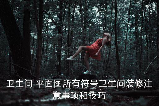 衛(wèi)生間 平面圖所有符號衛(wèi)生間裝修注意事項和技巧