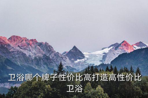  衛(wèi)浴哪個牌子性價比高打造高性價比 衛(wèi)浴
