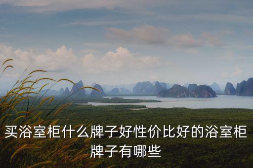 買浴室柜什么牌子好性價(jià)比好的浴室柜牌子有哪些