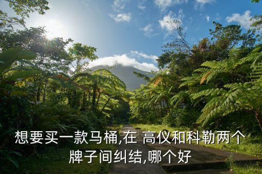 想要買一款馬桶,在 高儀和科勒兩個牌子間糾結,哪個好