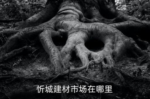 單縣廚衛(wèi)衛(wèi)浴批發(fā)市場(chǎng)地址