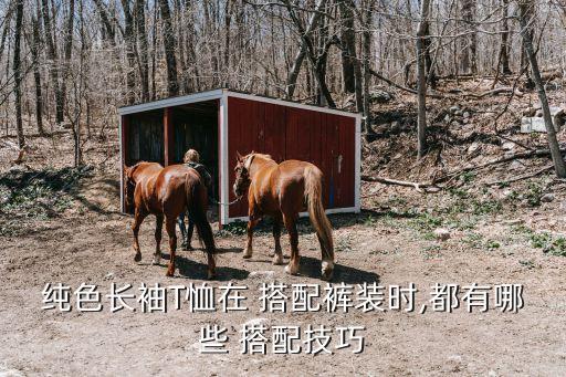 純色長袖T恤在 搭配褲裝時,都有哪些 搭配技巧