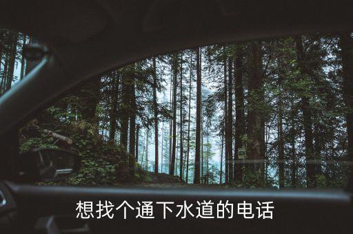 想找個通下水道的電話