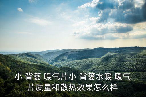 小 背簍 暖氣片小 背簍水暖 暖氣片質(zhì)量和散熱效果怎么樣
