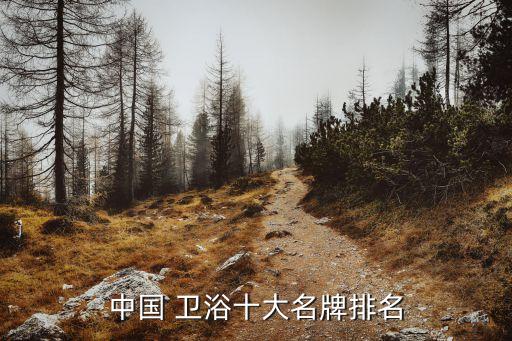 中國 衛(wèi)浴十大名牌排名