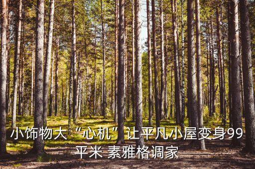 小飾物大“心機(jī)”讓平凡小屋變身99平米 素雅格調(diào)家