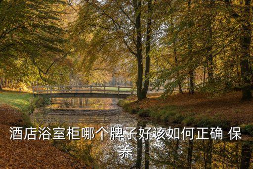 酒店浴室柜哪個(gè)牌子好該如何正確 保養(yǎng)