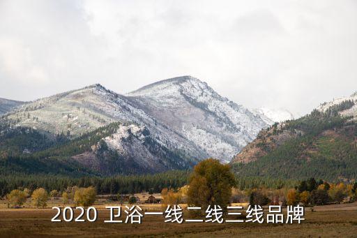 2020 衛(wèi)浴一線二線三線品牌