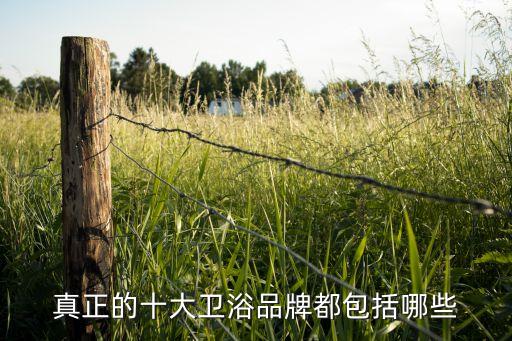 真正的十大衛(wèi)浴品牌都包括哪些