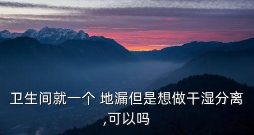 衛(wèi)生間就一個 地漏但是想做干濕分離,可以嗎