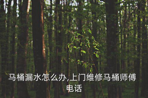 馬桶漏水怎么辦,上門維修馬桶師傅 電話
