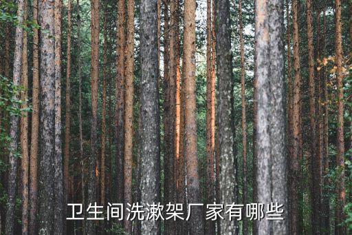 衛(wèi)生間洗漱架廠家有哪些