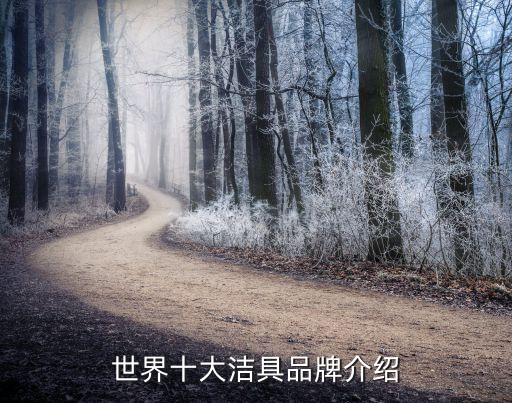 世界十大潔具品牌介紹