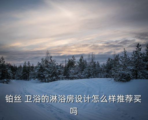 鉑絲 衛(wèi)浴的淋浴房設(shè)計(jì)怎么樣推薦買嗎