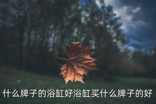 浪鯨衛(wèi)浴櫥柜圖片