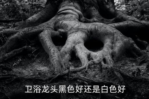  衛(wèi)浴龍頭黑色好還是白色好