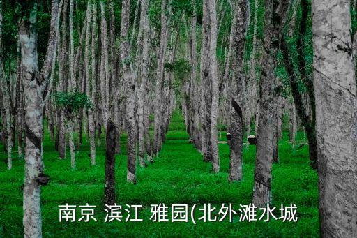 南京 濱江 雅園(北外灘水城