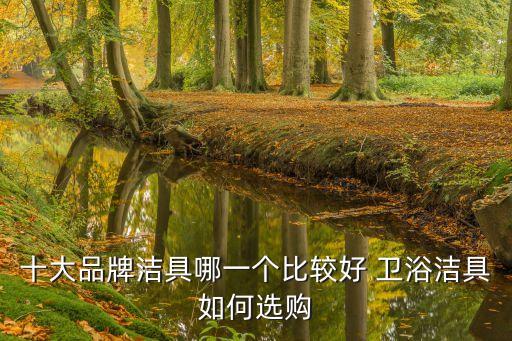 十大品牌潔具哪一個(gè)比較好 衛(wèi)浴潔具如何選購