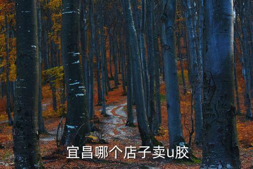  宜昌哪個店子賣u膠