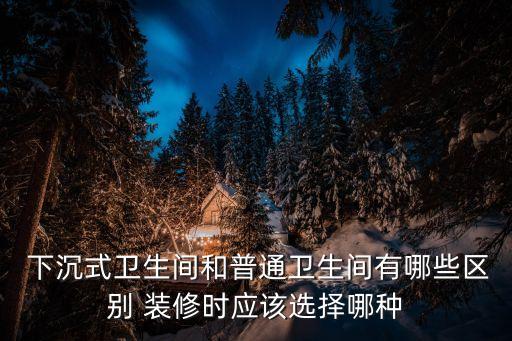 下沉式衛(wèi)浴間裝修圖片