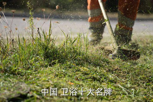 中國 衛(wèi)浴十大名牌