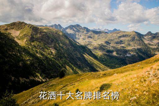 花灑十大名牌排名榜