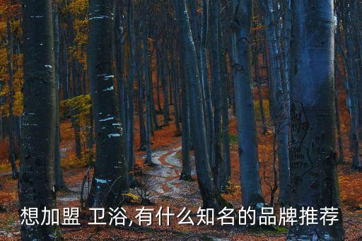 想加盟 衛(wèi)浴,有什么知名的品牌推薦