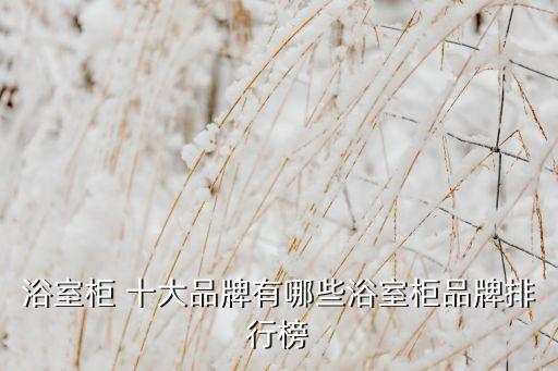衛(wèi)浴柜十大品牌推薦排名,純實木家具十大排名品牌推薦