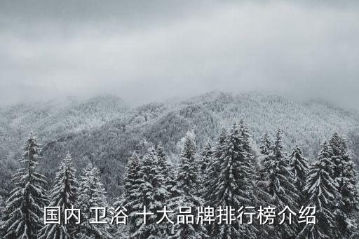 國(guó)內(nèi) 衛(wèi)浴 十大品牌排行榜介紹