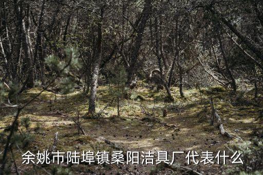  余姚市陸埠鎮(zhèn)桑陽潔具廠代表什么