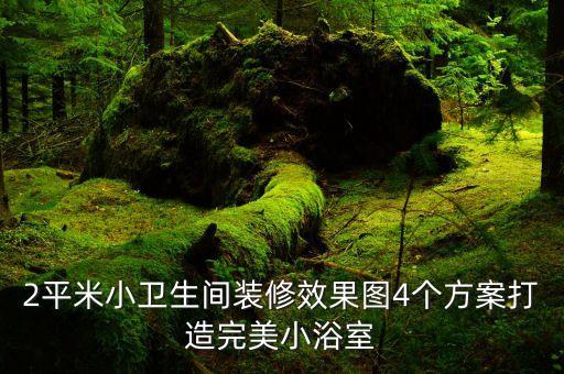 2平米小衛(wèi)生間裝修效果圖4個(gè)方案打造完美小浴室
