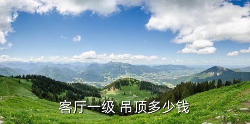 客廳一級 吊頂多少錢