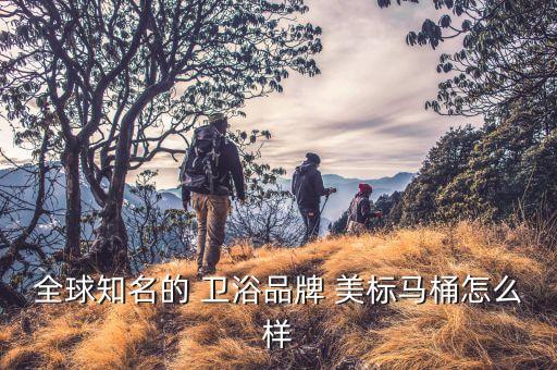 全球知名的 衛(wèi)浴品牌 美標(biāo)馬桶怎么樣