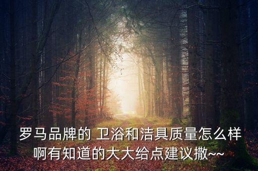  羅馬品牌的 衛(wèi)浴和潔具質(zhì)量怎么樣啊有知道的大大給點(diǎn)建議撒~~