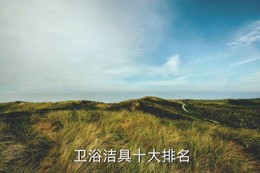  衛(wèi)浴潔具十大排名