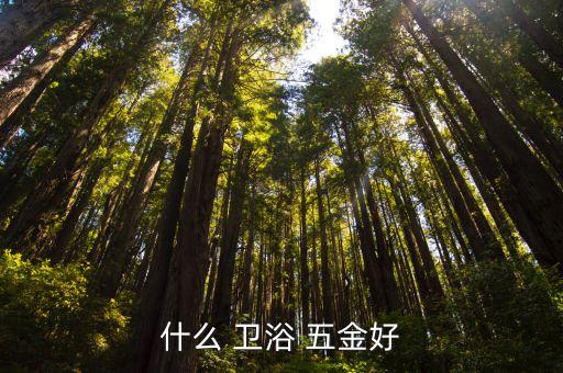 什么 衛(wèi)浴 五金好