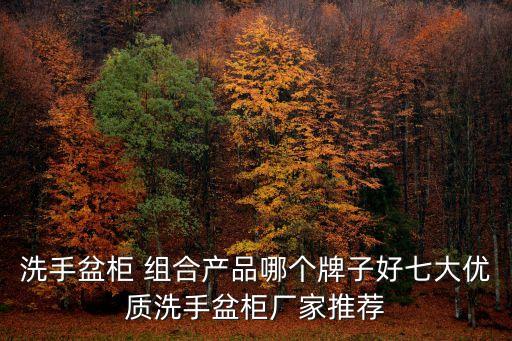 衛(wèi)浴組合什么品牌好,riifo什么衛(wèi)浴品牌