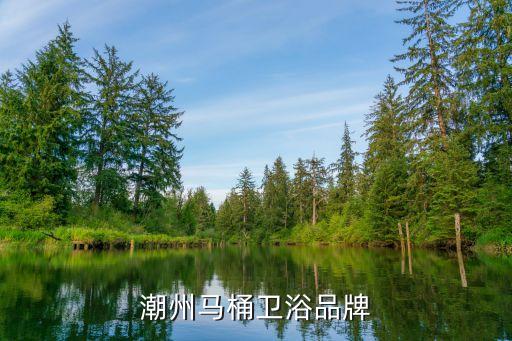 潮州馬桶衛(wèi)浴品牌