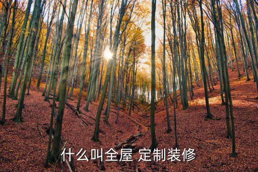 什么叫全屋 定制裝修
