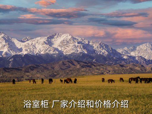 蘇州網(wǎng)紅衛(wèi)浴廠家電話多少