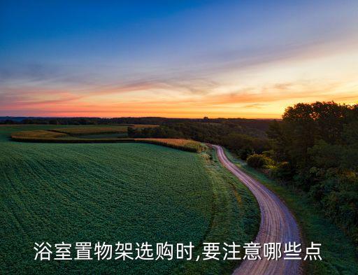 混搭風(fēng)格衛(wèi)浴掛件圖片