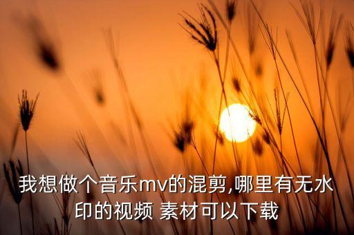 我想做個(gè)音樂(lè)mv的混剪,哪里有無(wú)水印的視頻 素材可以下載