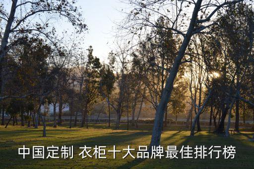 中國(guó)定制 衣柜十大品牌最佳排行榜