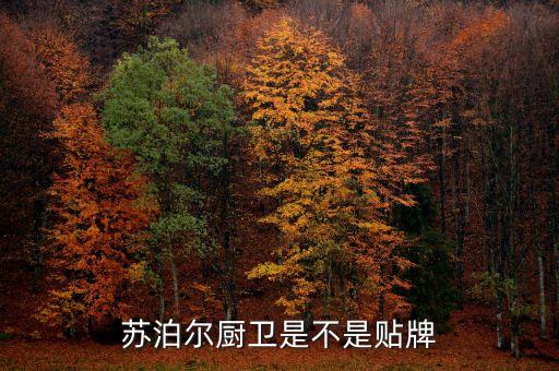 杭州蘇泊爾衛(wèi)浴,蘇泊爾衛(wèi)浴有限公司