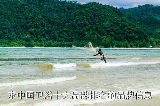 求中國衛(wèi)浴十大品牌排名的品牌信息