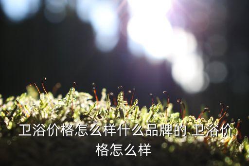  衛(wèi)浴價格怎么樣什么品牌的 衛(wèi)浴價格怎么樣
