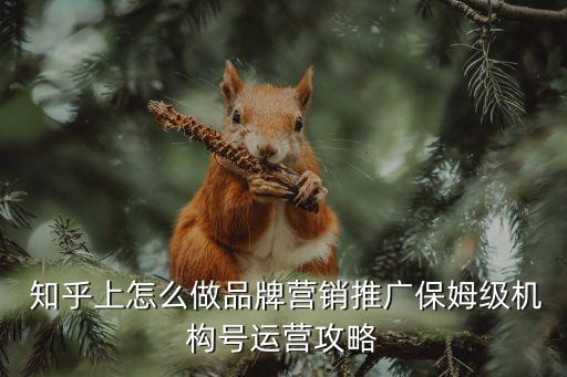  知乎上怎么做品牌營銷推廣保姆級機構(gòu)號運營攻略